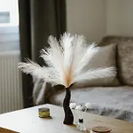 Siel Simple Elegance Appartement *